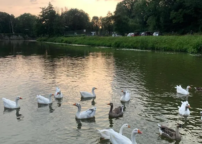 Nuit Insolite A Bord D'une Peniche, 6 Personnes Botel *
